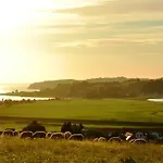 Strandapartment-mondfisch An Der Ostsee ティースゾー