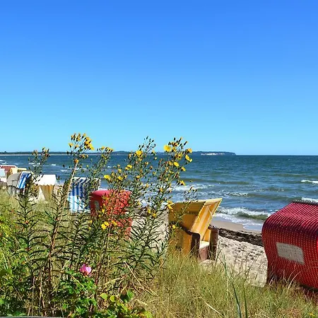 アパート Strandapartment-mondfisch An Der Ostsee ティースゾー